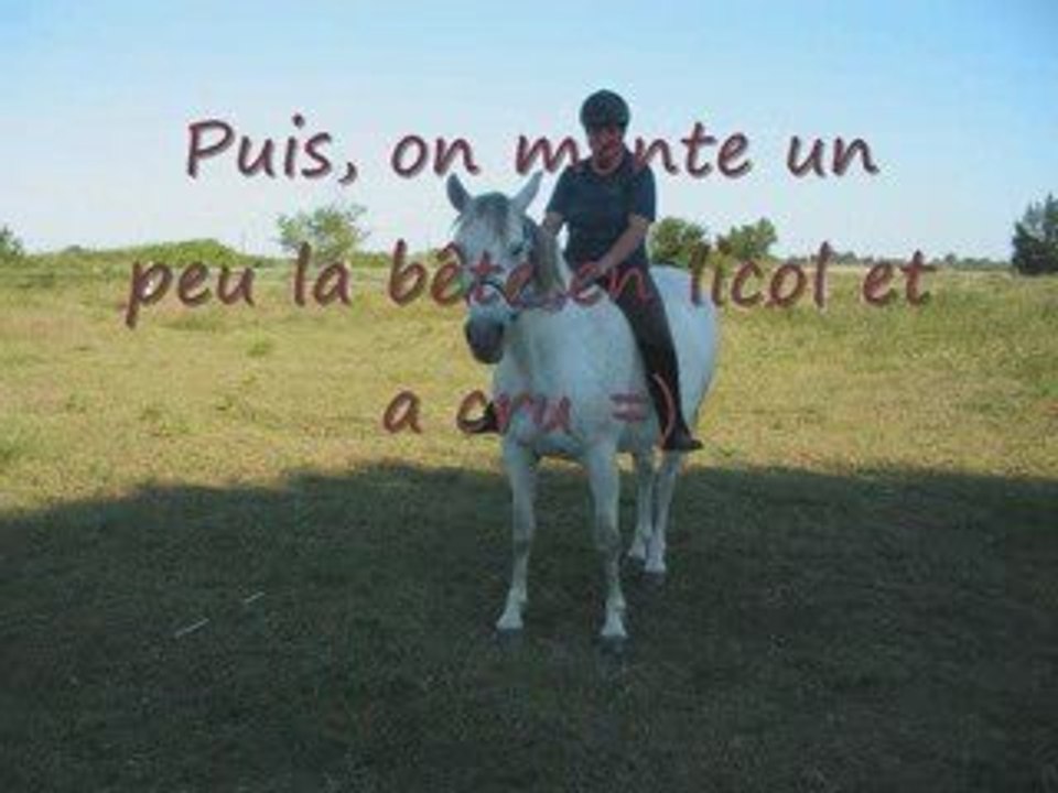 Véla