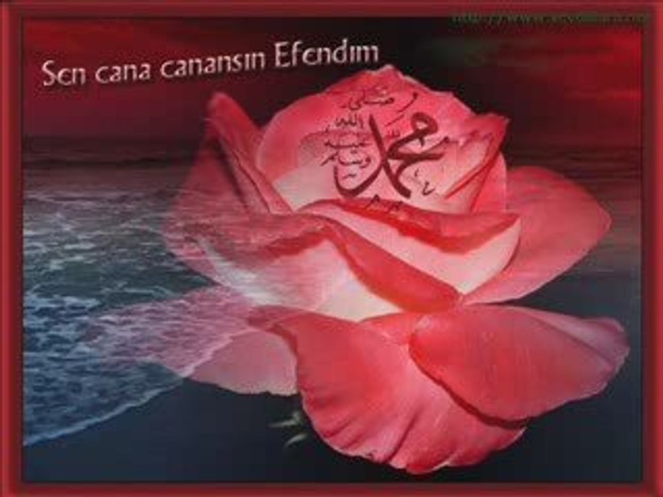 Güçlü Soydemir - Bir Çift Turna Gördüm