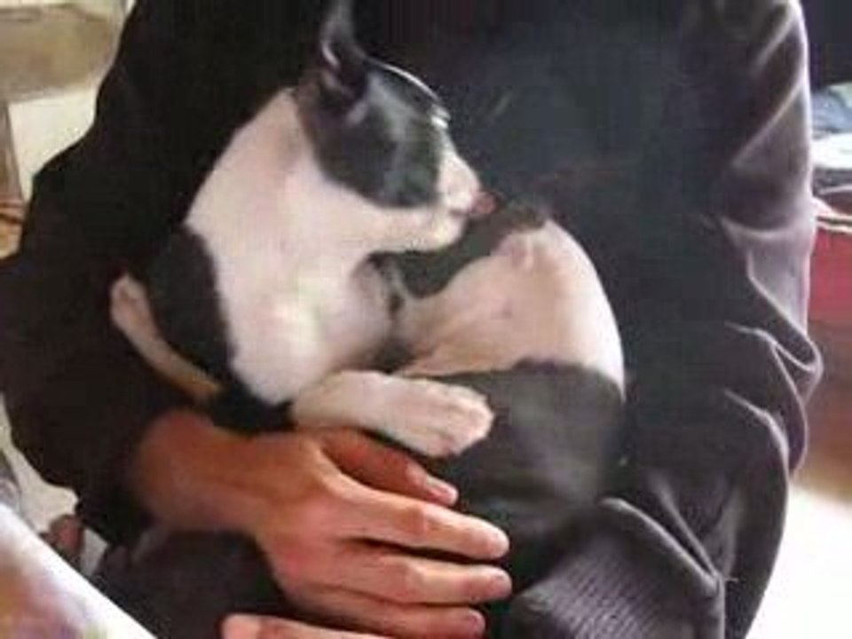 De retour aux hauts coureurs