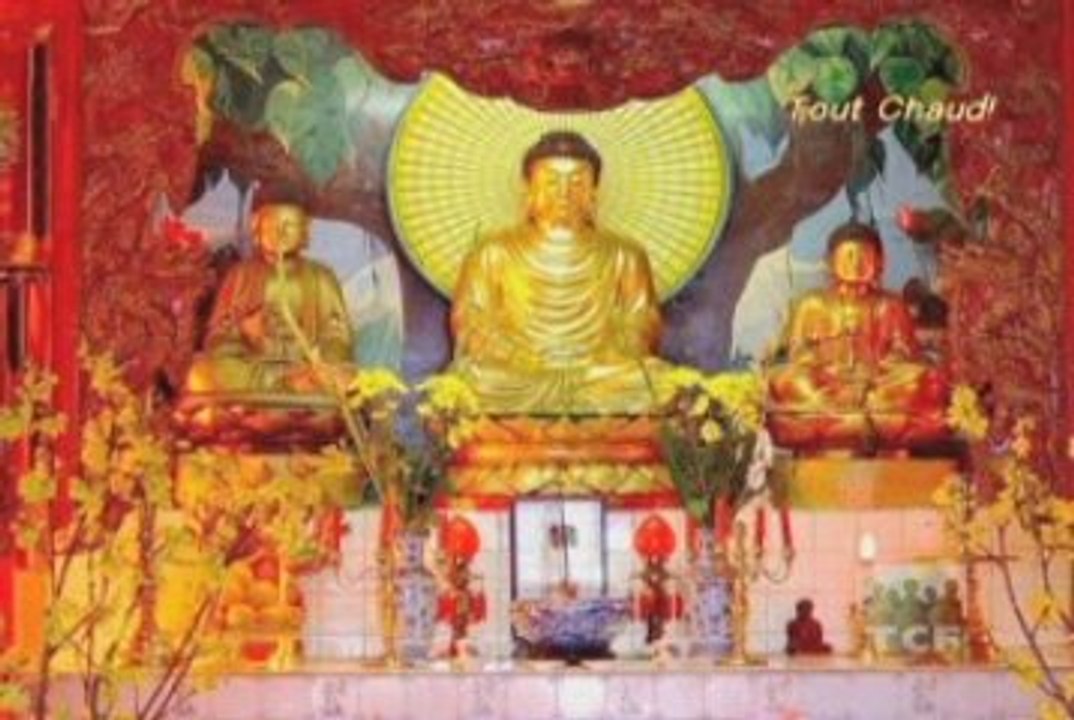 Tout Chaud! du 04 mai 2009 Partie 5