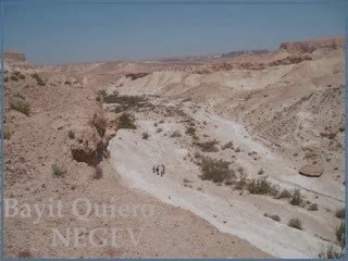 BAYIT QUIERO ESTA NOCHE NO