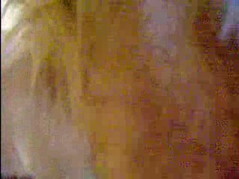 Videos des poneys 29 mai 09 017