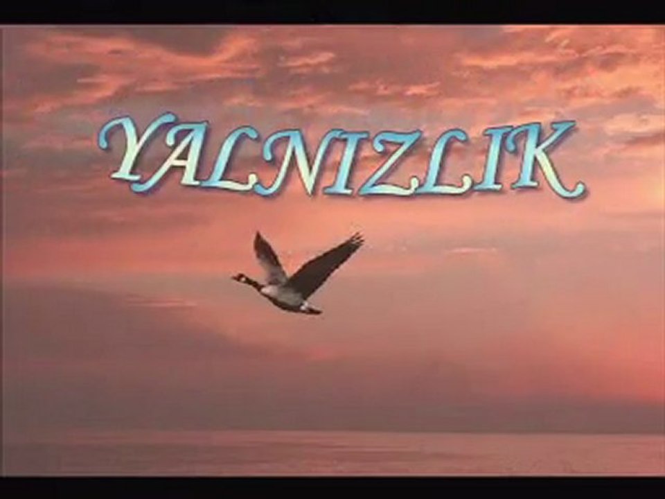 YALNIZLIK