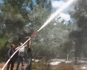 Bilecik orman tatbikat