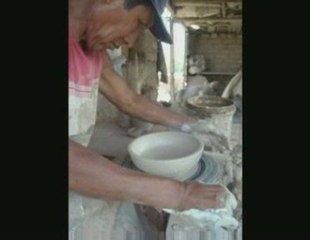 Bonsai Magico - Bunjin - Video 14 - bonsaimagicobunjin.com