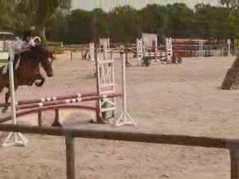 Championnat de l'Orne, au Haras du pin