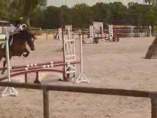 Championnat de l'Orne, au Haras du pin