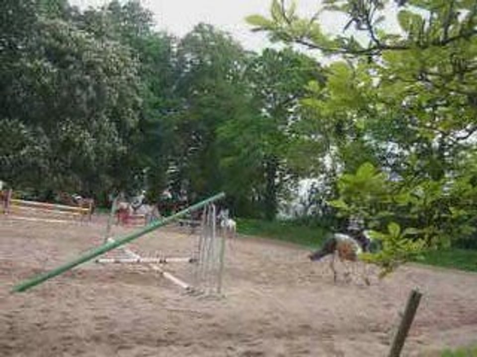 Cour de saut avec MA Titine et NoOopy!!=P