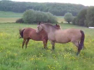 Etrepigny 05 09 bis 023