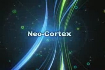 Intro Neo-Cortex