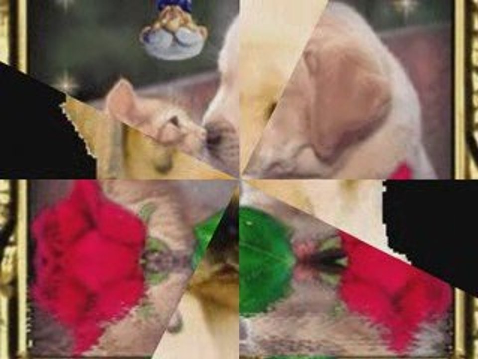 Natalia kukulska - Puszek kłębuszek