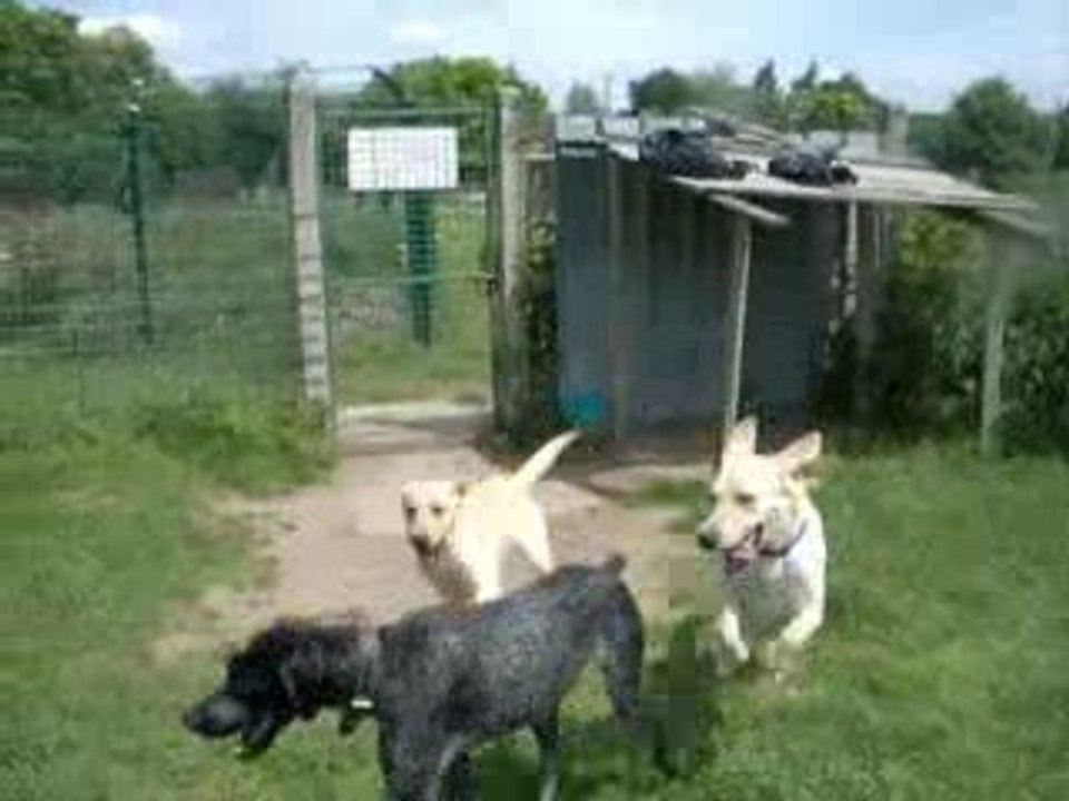 Dellia, Poppy & Marcel