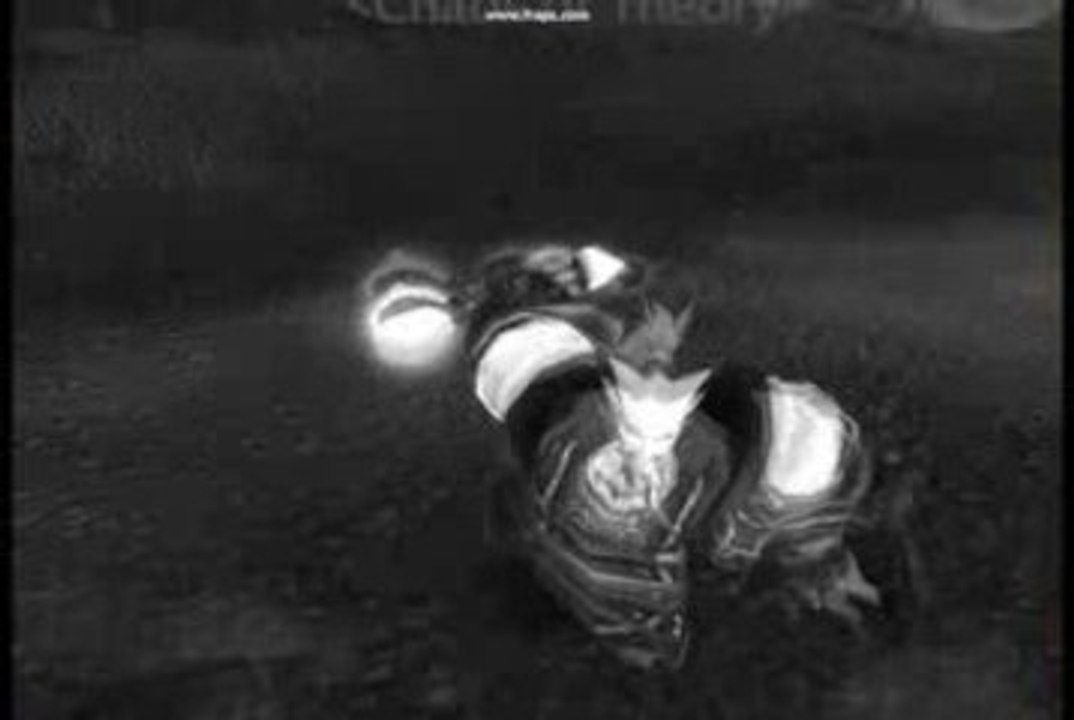 Generik guilde wow test