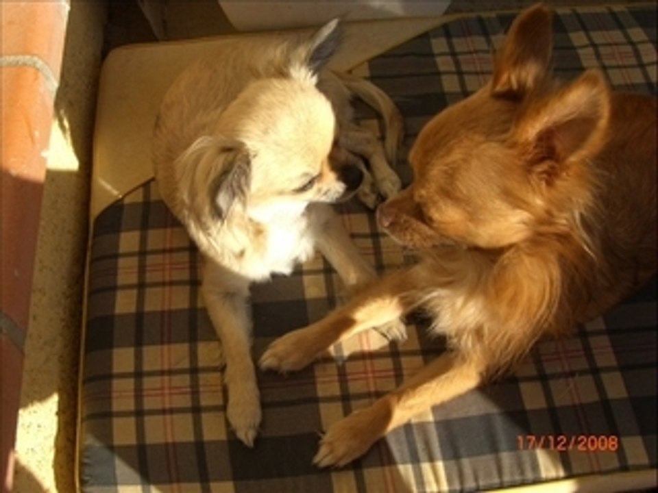 Joyeux annif cannelle_0001