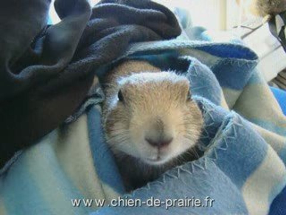 30 mai2009