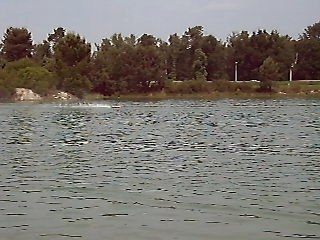 C.F 2009 FINALE FSR-O 3.5 CESTAS