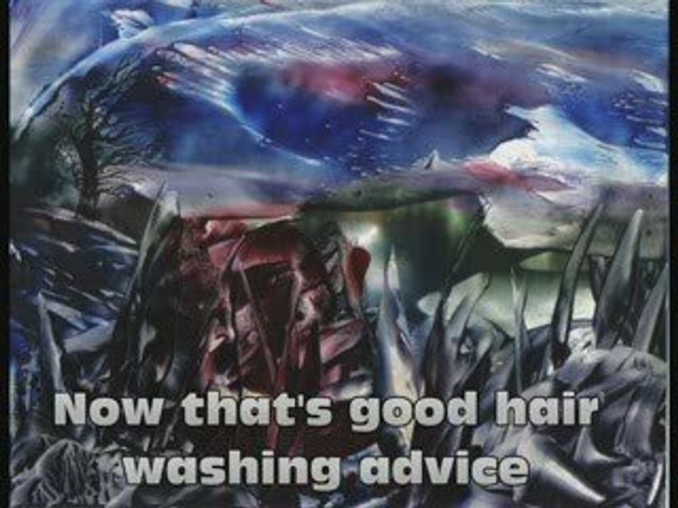 Meditation 11: a forest journey - Products of Monkey Love