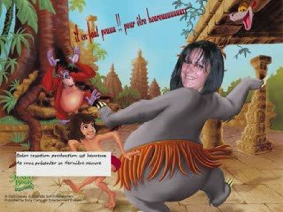 Baloo2 pas nique a la plage