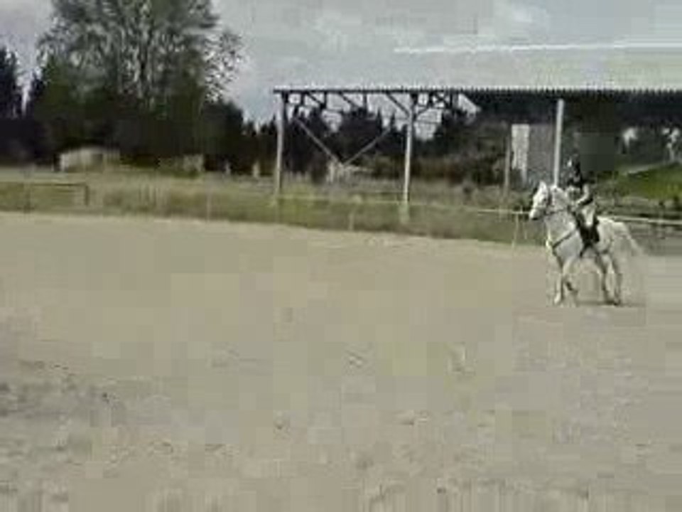 Mouchou (mon poney) et moi