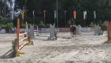 Concours Cheseaux
