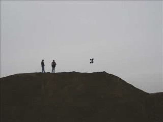 Nov Bashing