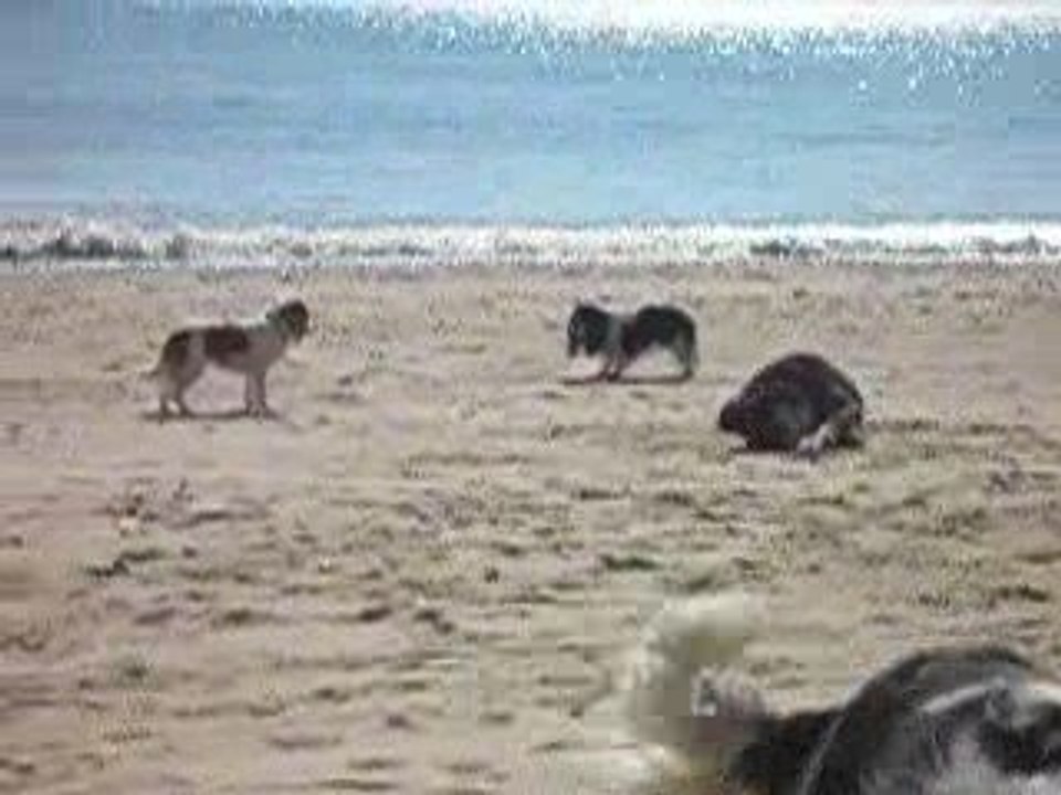 a la plage à Piriac