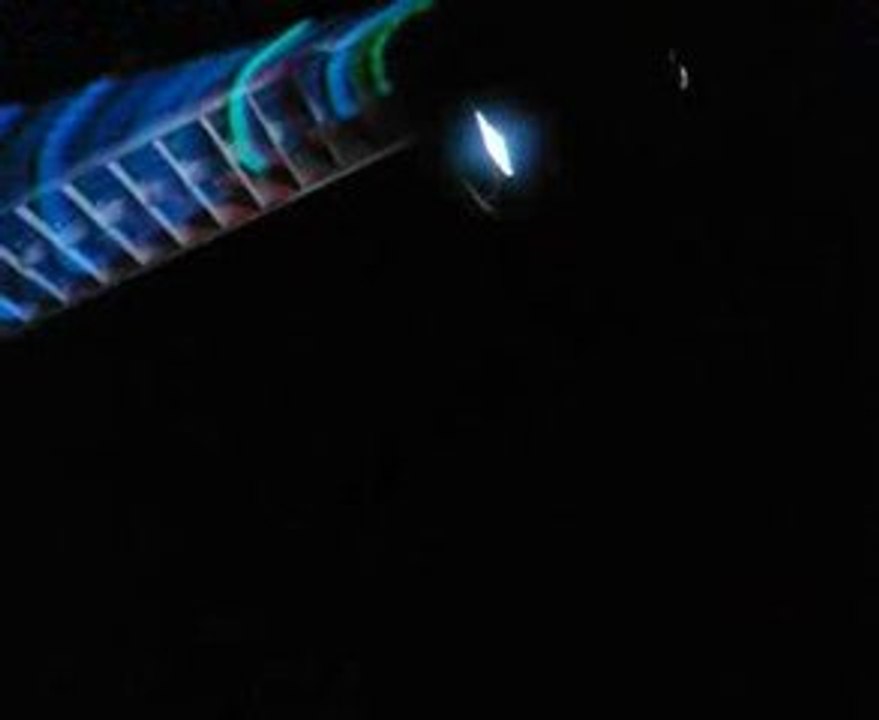 Journée Wallygator (lL).