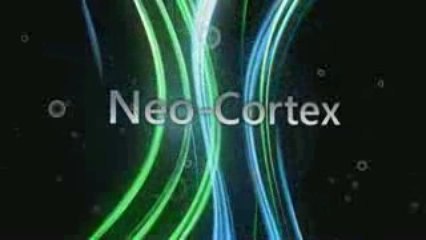 Création Neo-Cortex