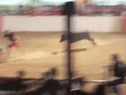 Souvenirs mouvementés de vacances