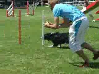 Tao agility trophée