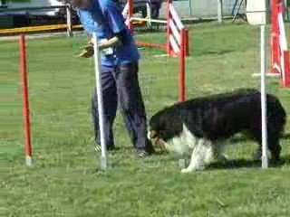 Volcan agility trophée