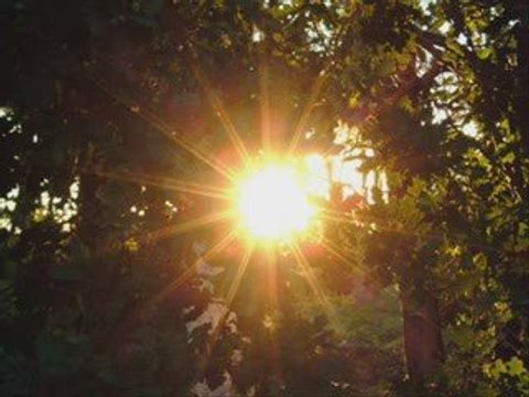 Dancehall / Il est / Ras Gaindé nouha