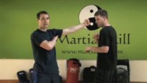 7 Star Mantis Kung Fu: Bung Da (Backfist) Technique