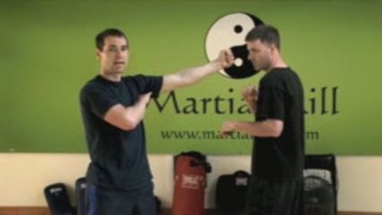 7 Star Mantis Kung Fu: Bung Da (Backfist) Technique