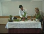 Bonsai Magico - Bunjin - Video 19 - bonsaimagicobunjin.com