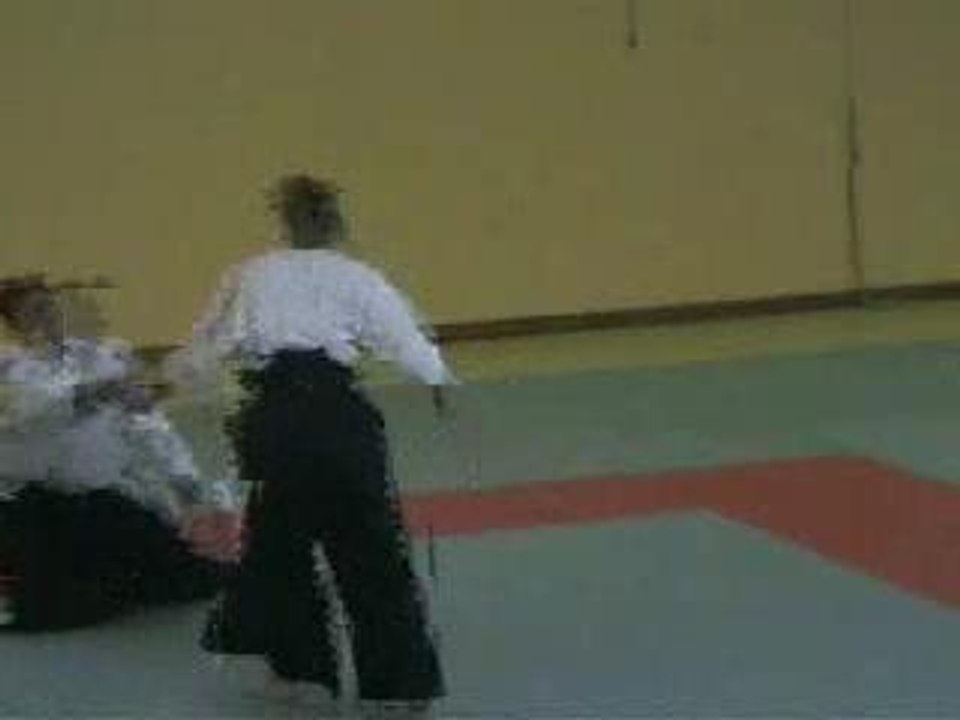 Claude Video N°2 : Hantachi/Tachiwaza