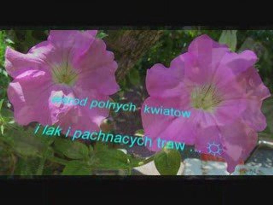 Szukalem Ciebie Moje Serce