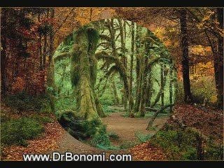 Video 33 EL SECRETO en youtube, pelicula, video, dvd, tv