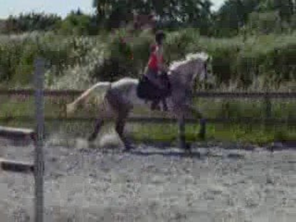 Noémie et quolibri de linkey au saut!!!!