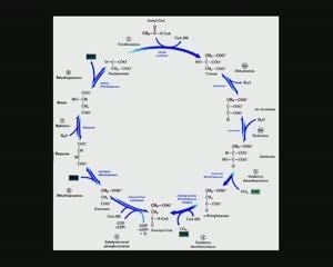 LLP - Message de l'eau 2