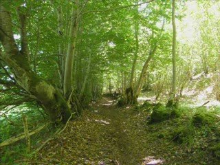 Diapo la pastourelle 2009