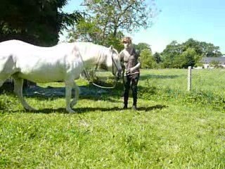 Jambette presque aquis !!!