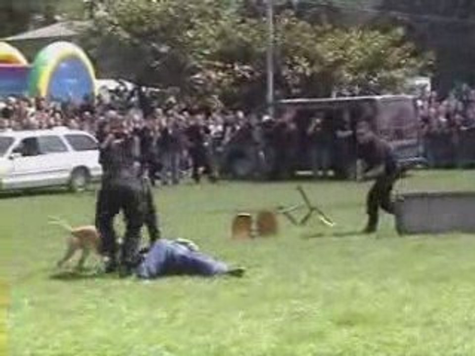 Fete du cfa démo k-9