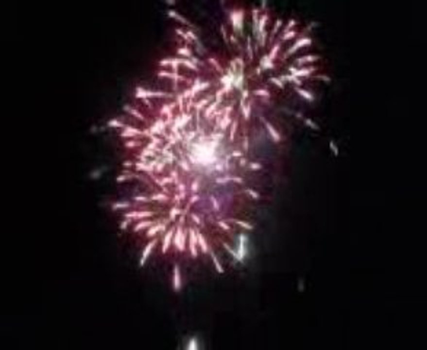 Lille Nancy dernière journée saison 08/09