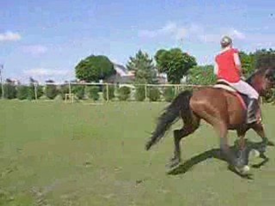 Saut phoenix