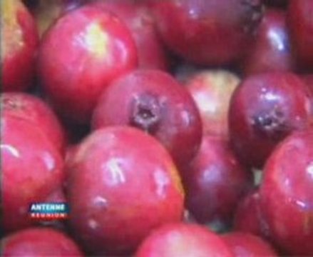 Recettes cuisine au goyavier Plaine des Palmistes La Réunion