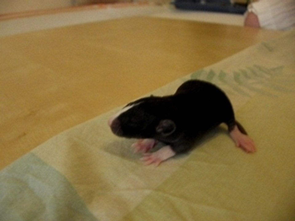 P5310069