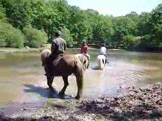 balade foret Rambouillet étang