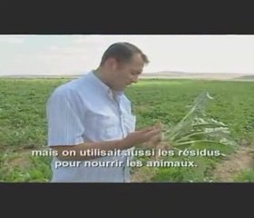 LLP - 08-01-18 - L'Argent Chute de l'Argentine 1 sur 4