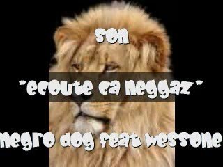 negro dog feat wessone "ecoute ca neggaz"